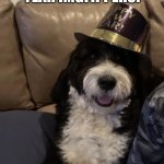 New Year Dog | HAPPY NEW YEAR IMGFIPPERS! | image tagged in new year dog | made w/ Imgflip meme maker