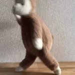 Sheep dance 2 GIF Template