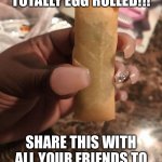 Egg roll to start off 2022 | YOU JUST GOT TOTALLY EGG ROLLED!!! SHARE THIS WITH ALL YOUR FRIENDS TO TOTALLY EGG ROLL THEM | image tagged in egg roll,share | made w/ Imgflip meme maker