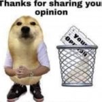 Thanks for your opinion meme