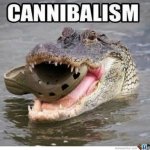 Cannibalism crocodile