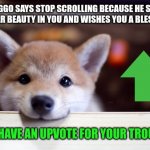 I wish you all a great day! | DOGGO SAYS STOP SCROLLING BECAUSE HE SEES THE INNER BEAUTY IN YOU AND WISHES YOU A BLESSED DAY; HERE, HAVE AN UPVOTE FOR YOUR TROUBLES! | image tagged in cute dog,wholesome | made w/ Imgflip meme maker