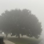Come OUT of the FOG 2022 meme