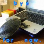 turtle typing | b  y  e; f o r       n o w . | image tagged in turtle computer | made w/ Imgflip meme maker