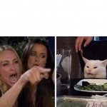 cat and angry woman meme template