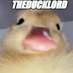 Theducklord template 2 template