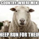 Sheep | STEELER COUNTRY: WHERE MEN ARE MEN AND SHEEP RUN FOR THEIR LIVES | image tagged in sheep,steelers | made w/ Imgflip meme maker