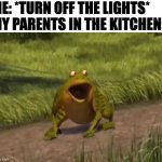 Shrek frog screaming | ME: *TURN OFF THE LIGHTS*
MY PARENTS IN THE KITCHEN: | image tagged in shrek frog screaming,shrek,memes,meme,funny,fun | made w/ Imgflip meme maker