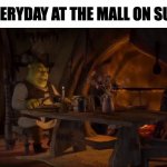 Lonely Shrek | ME EVERYDAY AT THE MALL ON SUNDAY | image tagged in lonely shrek,relatable,shrek,memes,funny,funny memes | made w/ Imgflip meme maker