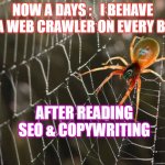 Spider On The Web | NOW A DAYS :   I BEHAVE AS A WEB CRAWLER ON EVERY BLOG; AFTER READING SEO & COPYWRITING | image tagged in spider on the web | made w/ Imgflip meme maker