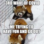 Red Panda Attac | 3RD WAVE OF COVID; ME TRYING TO HAVE FUN AND GO OUT | image tagged in red panda attac,covid-19,covid,lockdown | made w/ Imgflip meme maker