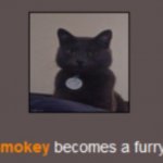 How does a cat become a furry
