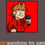 Tord questions his sanity template