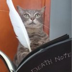 Deth note cat template