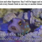 Blue Spotted Jawfish | My Seniors and other Superiors: Say I will be happy and married
Me, which every female finds in one way or another distasteful:; Do I look like a half-wit, imbecile, or dingbat to you? | image tagged in blue spotted jawfish | made w/ Imgflip meme maker