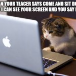 Cat on Computer | WEAN YOUR TEACER SAYS COME AND SIT DOWN HERE SO I CAN SEE YOUR SCREEN AND YOU SAY HOLD ON | image tagged in cat on computer | made w/ Imgflip meme maker