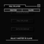 Multiplayer Slave
