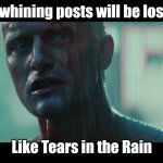 Whining lost in time | All your whining posts will be lost in time; Like Tears in the Rain | image tagged in rutger hauer blade runner tears in the rain,post,blade runner | made w/ Imgflip meme maker