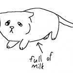 full of milk cat