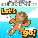 Let’s go! | MY DOG WHEN I SAY THE SIMPLE WORD "OUTSIDE": | image tagged in let s go | made w/ Imgflip meme maker