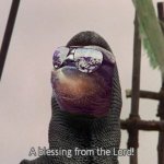 Sloth a blessing from the lord meme