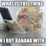 Monke phone | WHAT IS THIS THING CAN I BUY BANANA WITH IT? | image tagged in monkey mobile phone,monke,phone,fun,funny | made w/ Imgflip meme maker