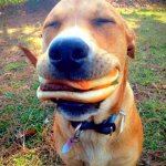 Hamburger Doge meme