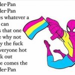 Spider pan