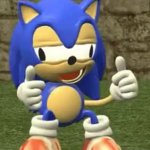 Sonic GIF Template