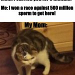 created by me :) | Mom: I carried you for 9 months! Me: I won a race against 500 million
sperm to get here! My Mom: | image tagged in loading cat | made w/ Imgflip meme maker