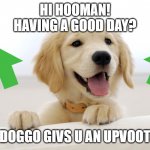 START A FIGHT IN THE COMMENTS | HI HOOMAN!
HAVING A GOOD DAY? DOGGO GIVS U AN UPVOOT | image tagged in i just did this for the comments lol,start a fight in the comments | made w/ Imgflip meme maker