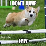 I don't jump | I DON'T JUMP; I FLY | image tagged in awesome corgi andshit | made w/ Imgflip meme maker