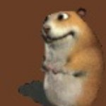 Hamster | image tagged in hamster | made w/ Imgflip meme maker
