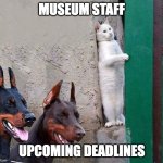 Museum Staff & Deadlines | MUSEUM STAFF UPCOMING DEADLINES | image tagged in hidden cat | made w/ Imgflip meme maker