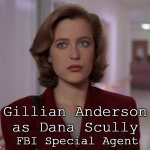 Gillian Anderson Dana Scully FBI Special Agent | Gillian Anderson
as Dana Scully; FBI Special Agent | image tagged in gillian anderson dana scully x-files,fbi,the x-files,science,logical,secular | made w/ Imgflip meme maker