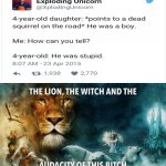 Bruh | image tagged in the lion the witch and the audacity of this bitch,twitter,sexist,sexism,boys vs girls | made w/ Imgflip meme maker