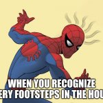 bruh | WHEN YOU RECOGNIZE EVERY FOOTSTEPS IN THE HOUSE | image tagged in spidey sense | made w/ Imgflip meme maker