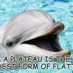 Daily Bad Dad Joke January 6 2022 | A PLATEAU IS THE HIGHEST FORM OF FLATTERY. | image tagged in dumb joke dolphin | made w/ Imgflip meme maker