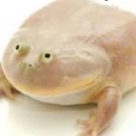 fat frog template