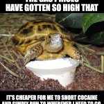 Gas prices | THE GAS PRICES HAVE GOTTEN SO HIGH THAT; IT'S CHEAPER FOR ME TO SNORT COCAINE AND SIMPLY RUN TO WHEREVER I NEED TO GO. | image tagged in cocaine turtle | made w/ Imgflip meme maker