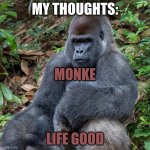 monke life good banana | MY THOUGHTS:; MONKE; LIFE GOOD | image tagged in monke life good banana | made w/ Imgflip meme maker