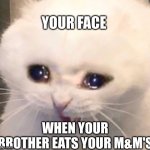 m&m's | YOUR FACE; WHEN YOUR BROTHER EATS YOUR M&M'S | image tagged in nooooo | made w/ Imgflip meme maker