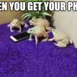 Frogs Phone Guard | WHEN YOU GET YOUR PHONE | image tagged in frogs phone guard | made w/ Imgflip meme maker