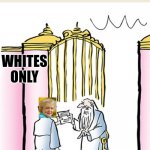 st peter gates of heaven | WHITES ONLY | image tagged in st peter gates of heaven | made w/ Imgflip meme maker