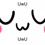 UwU | UwU UwU | image tagged in uwu | made w/ Imgflip meme maker