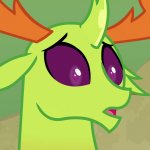 Confused Thorax (MLP)