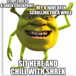 this is a shrek checkpoing | STOP! THIS IS A SHREK CHECKPOINT; HEY, U HAVE BEEN SCROLLING FOR A WHILE; SIT HERE AND CHILL WITH SHREK | image tagged in shreck | made w/ Imgflip meme maker