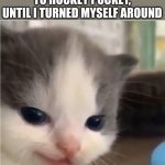 Hehe cat | I USED TO BE ADDICTED TO HOCKEY POCKEY, UNTIL I TURNED MYSELF AROUND; HEHEHE | image tagged in hehe cat | made w/ Imgflip meme maker