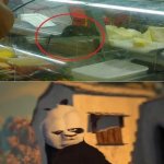 A rat in the food section of the restaurant | image tagged in drunk kung fu panda,funny,memes,rat,you had one job,you had one job just the one | made w/ Imgflip meme maker