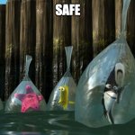 SAFE | SAFE | image tagged in now what - finding nemo | made w/ Imgflip meme maker